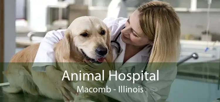 Animal Hospital Macomb - Illinois