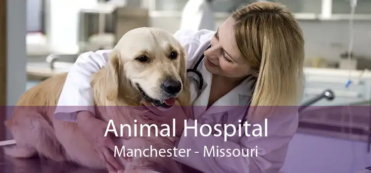 Animal Hospital Manchester - Missouri