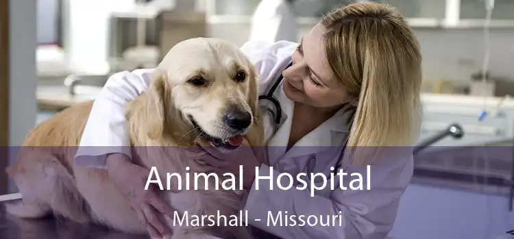 Animal Hospital Marshall - Missouri