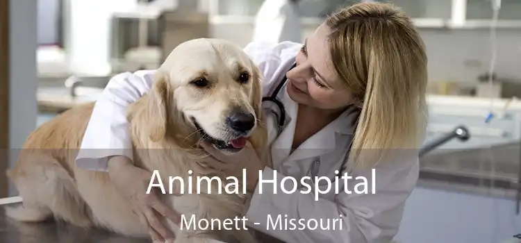 Animal Hospital Monett - Missouri