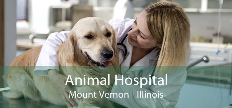 Animal Hospital Mount Vernon - Illinois