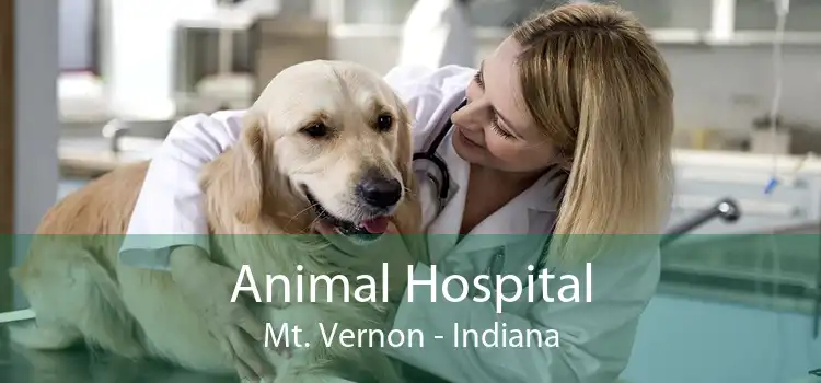 Animal Hospital Mt. Vernon - Indiana