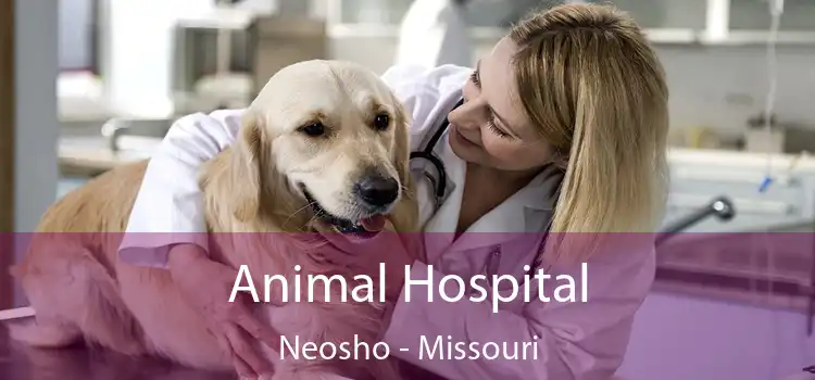 Animal Hospital Neosho - Missouri