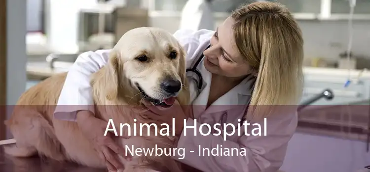 Animal Hospital Newburg - Indiana