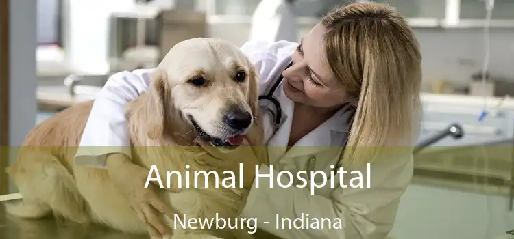 Animal Hospital Newburg - Indiana