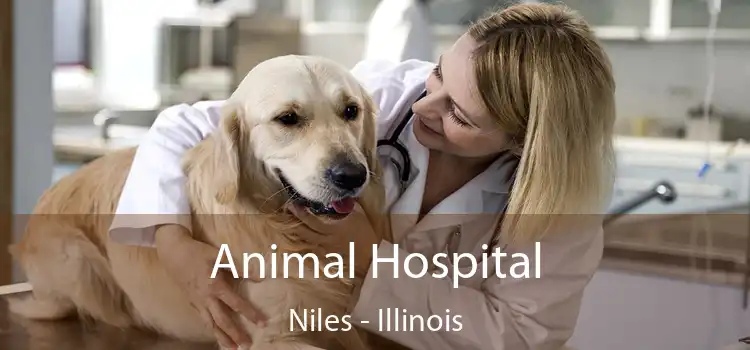 Animal Hospital Niles - Illinois