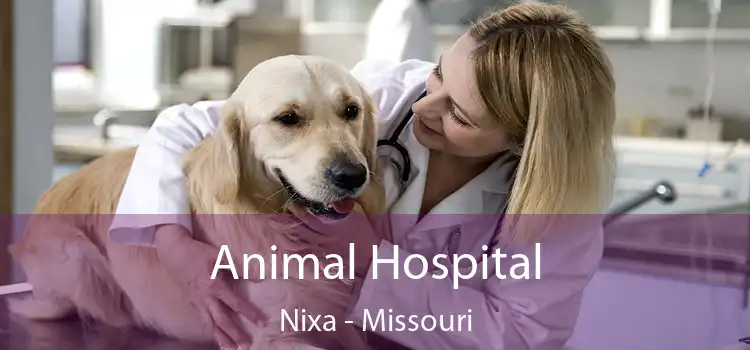 Animal Hospital Nixa - Missouri