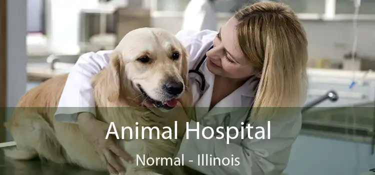 Animal Hospital Normal - Illinois