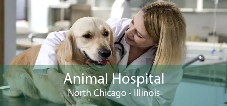 Animal Hospital North Chicago - Illinois
