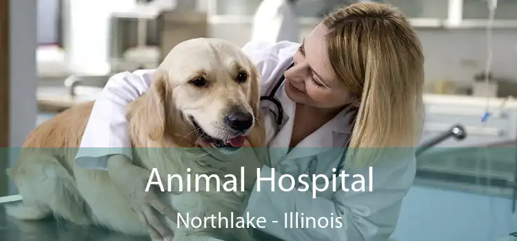 Animal Hospital Northlake - Illinois