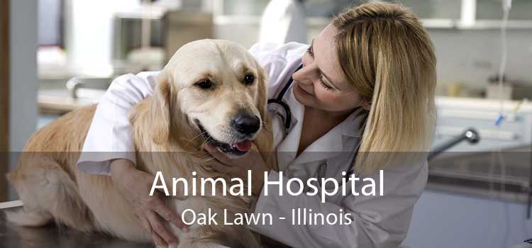 Animal Hospital Oak Lawn - Illinois