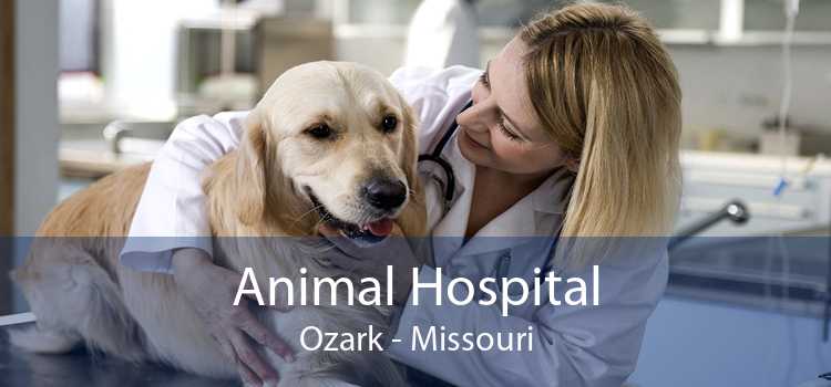 Animal Hospital Ozark - Missouri