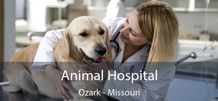 Animal Hospital Ozark - Missouri