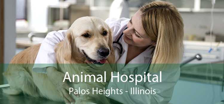Animal Hospital Palos Heights - Illinois