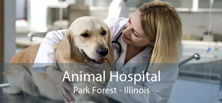 Animal Hospital Park Forest - Illinois