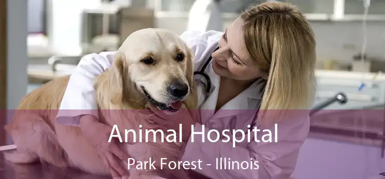 Animal Hospital Park Forest - Illinois