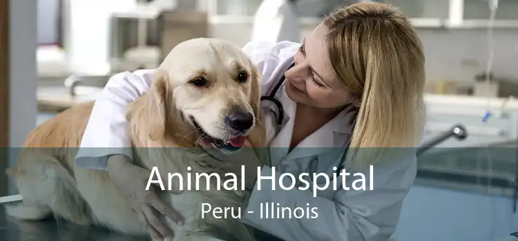 Animal Hospital Peru - Illinois