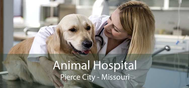 Animal Hospital Pierce City - Missouri