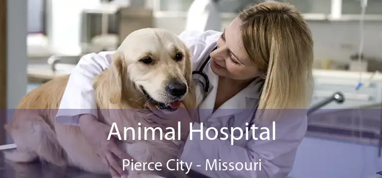 Animal Hospital Pierce City - Missouri