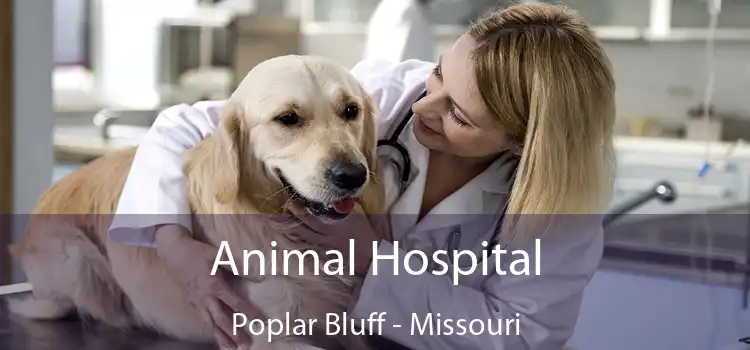 Animal Hospital Poplar Bluff - Missouri