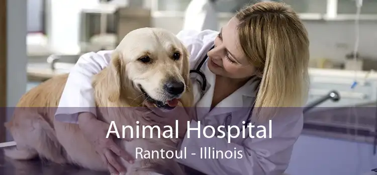 Animal Hospital Rantoul - Illinois