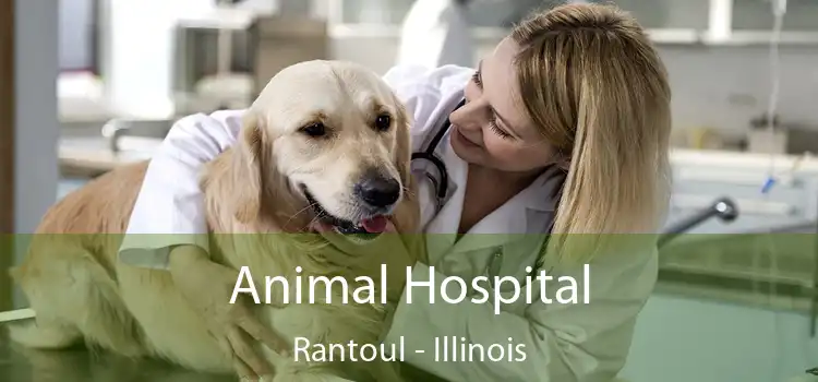 Animal Hospital Rantoul - Illinois