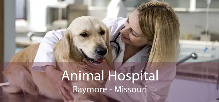 Animal Hospital Raymore - Missouri