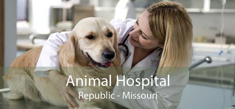 Animal Hospital Republic - Missouri