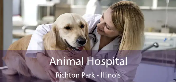 Animal Hospital Richton Park - Illinois