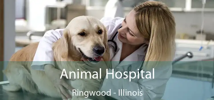 Animal Hospital Ringwood - Illinois