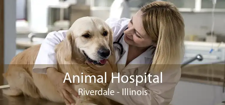 Animal Hospital Riverdale - Small, Affordable, And Emergency Animal Hospital