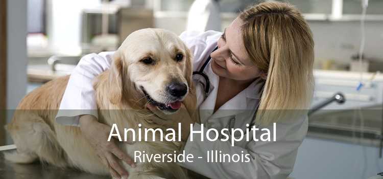 Animal Hospital Riverside - Illinois