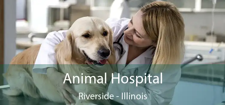 Animal Hospital Riverside - Illinois