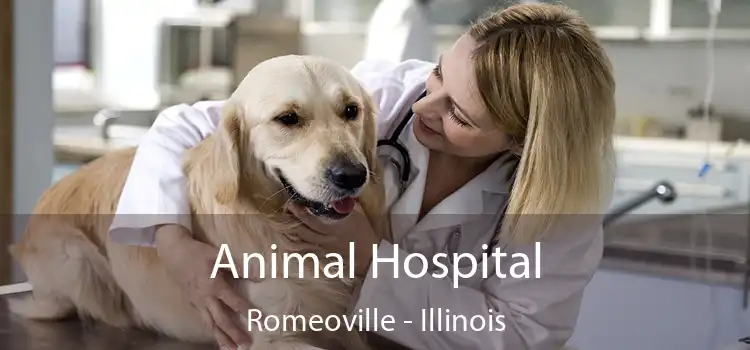 Animal Hospital Romeoville - Illinois