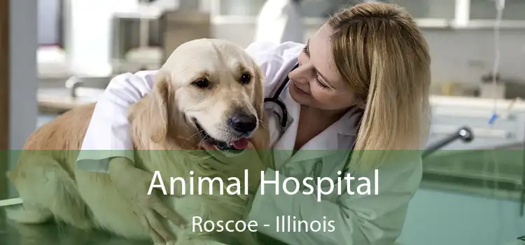 Animal Hospital Roscoe - Illinois