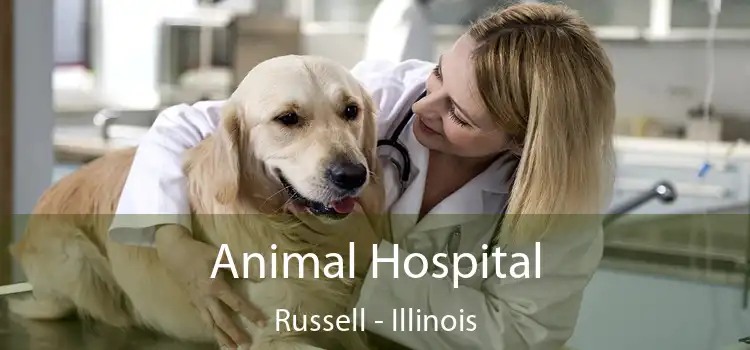 Animal Hospital Russell - Illinois