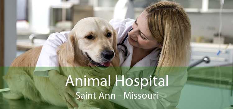 Animal Hospital Saint Ann - Missouri