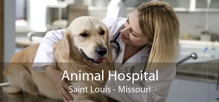 Animal Hospital Saint Louis - Missouri