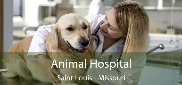 Animal Hospital Saint Louis - Missouri