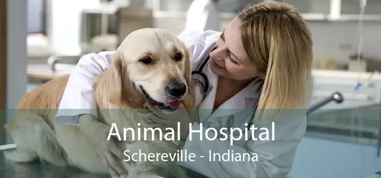 Animal Hospital Schereville - Indiana