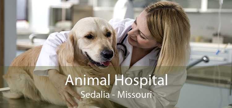 Animal Hospital Sedalia - Missouri