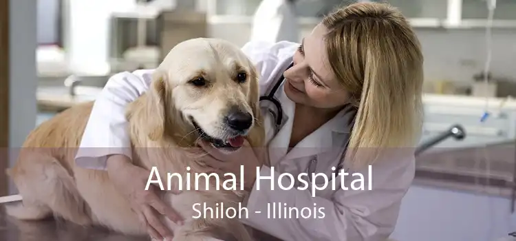 Animal Hospital Shiloh - Illinois