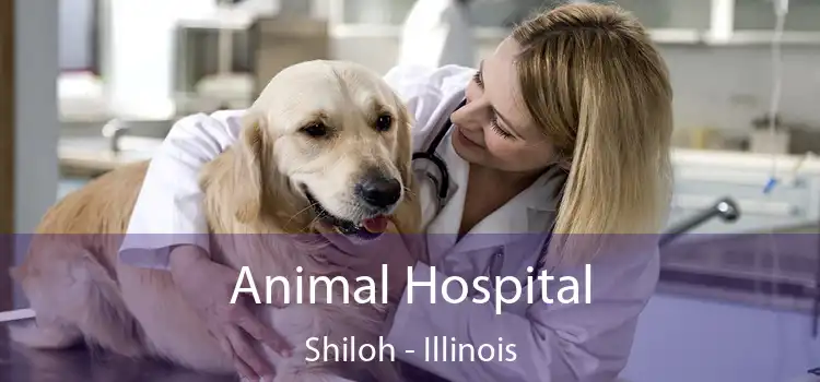 Animal Hospital Shiloh - Illinois