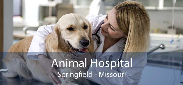 Animal Hospital Springfield - Missouri