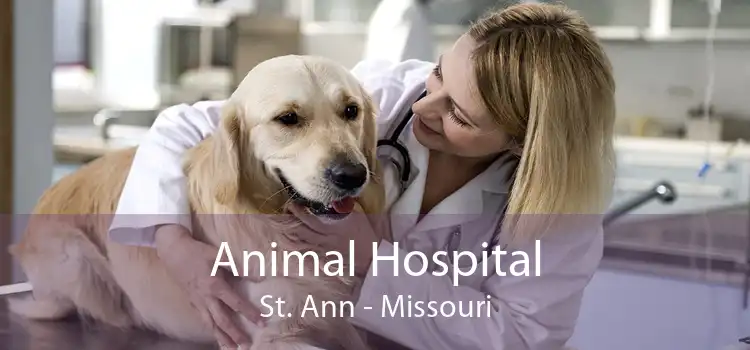 Animal Hospital St. Ann - Missouri