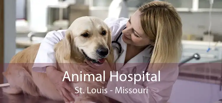 Animal Hospital St. Louis - Missouri