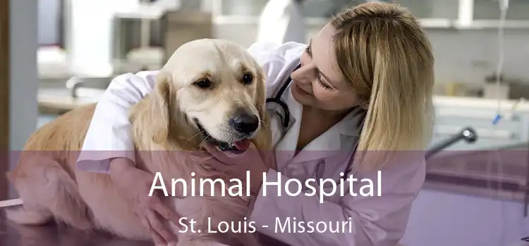 Animal Hospital St. Louis - Missouri