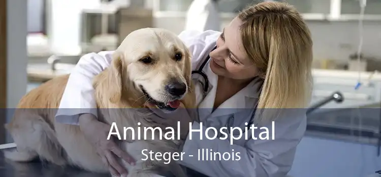 Animal Hospital Steger - Illinois