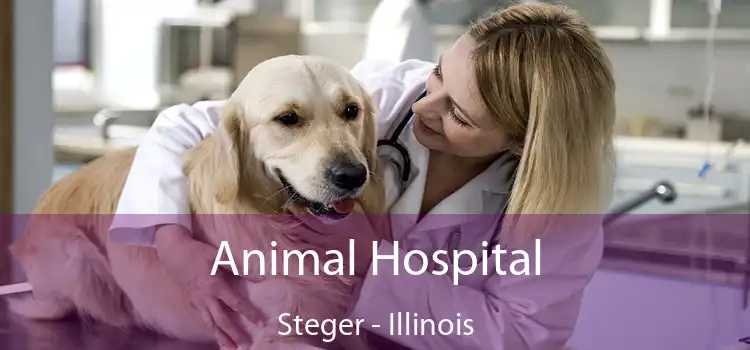 Animal Hospital Steger - Illinois