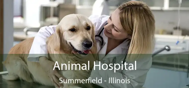 Animal Hospital Summerfield - Illinois